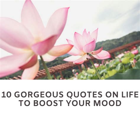 10 Absolutely Beautiful Life Quotes To Boost Your Mood