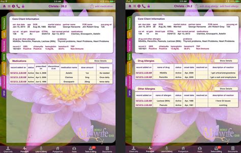 Overview Mobile Midwife Ehr App For The Ipad Electronic