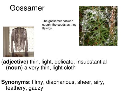 PPT - Affable PowerPoint Presentation, free download - ID ... Words with similar meaning of sculpture at thesaurus dictionary synonym.tech.