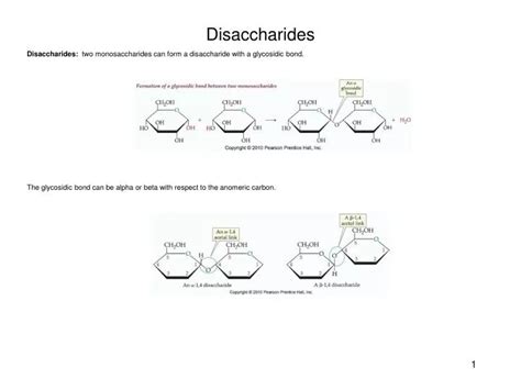 Ppt Disaccharides Powerpoint Presentation Free Download Id480380
