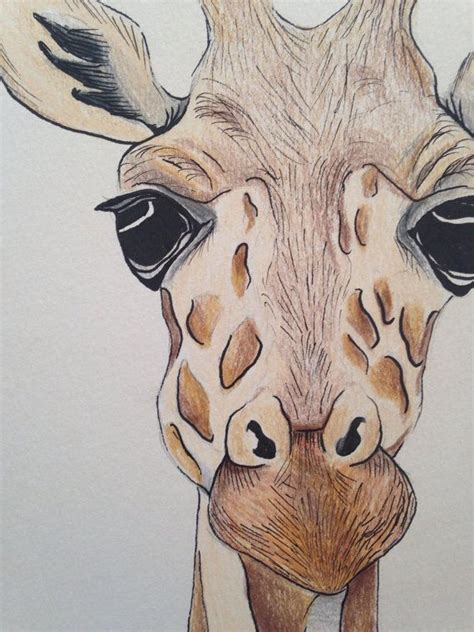 A5 Giraffe Face Drawing Using Pencil And Ink Original Piece On 185 Gsm