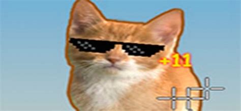 It adores soft rugs and comfort at home. TWITCH CLICKER