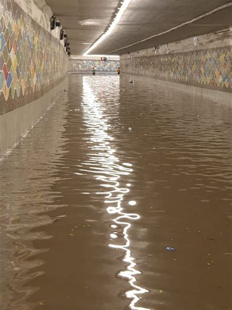 Smart City Submerged Under Water After Receiving 994mm Rainfall The