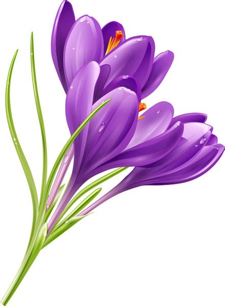 Purple Flower Vectors Free Vector Download 13316 Free Vector For Commercial Use Format Ai