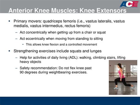 PPT - ACE’s Essentials of Exercise Science for Fitness Professionals