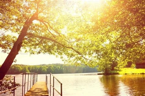 Beautiful Summer Scenery Lake And Stock Image