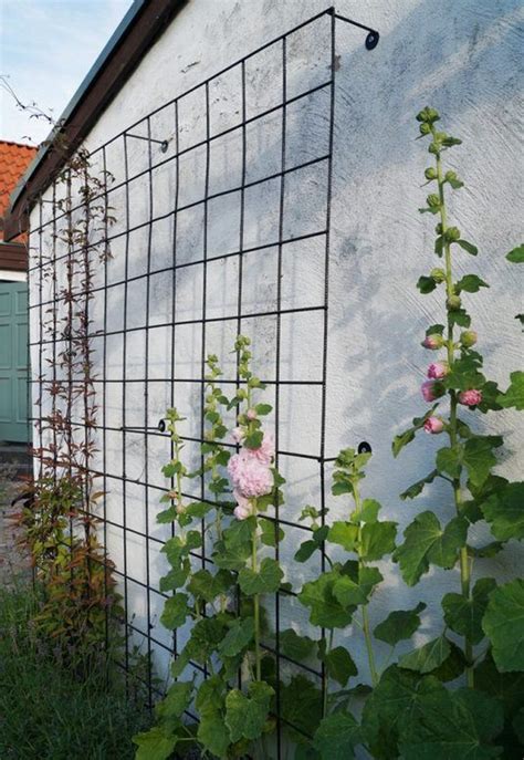 25 Beautiful Diy Trellis For Small Garden Homemydesign