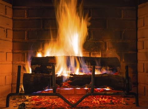 Its current status is listed as active. Kamin | Garten