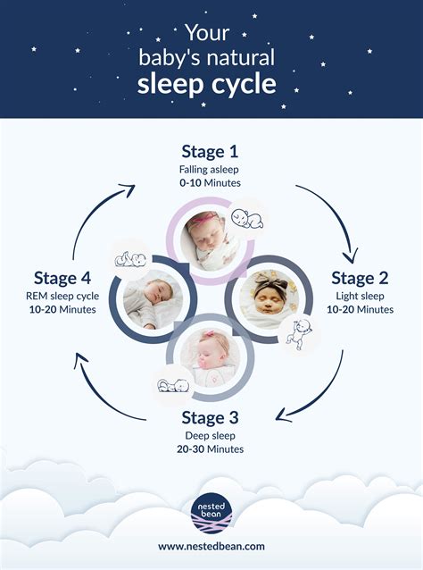 Different Stages Of Sleep Cycle