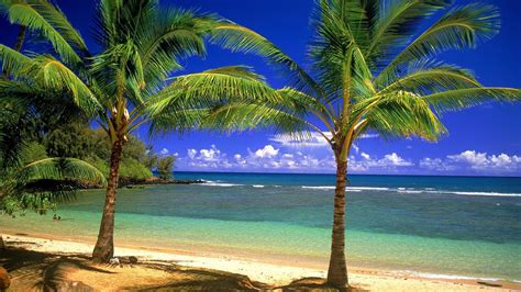 75 Hd Beach Desktop Backgrounds On Wallpapersafari