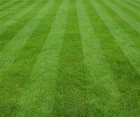 Lawn Mowing Tips - Mitchell Turf