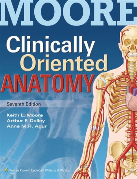 Clinically Oriented Anatomy Edition By Keith L Moore Phd Fiac