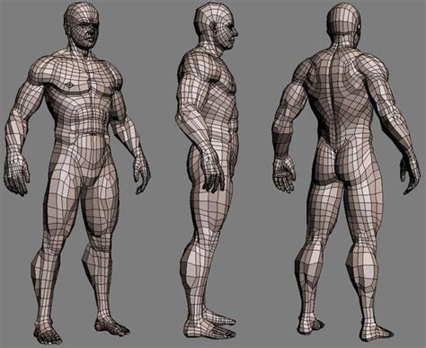 Realistic Muscled Male Body Textured 3d Model 3d Model Character 3d Model Topology