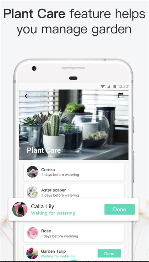 See full list on homesucculents.com 7 Best plant identification apps for Android | Android ...