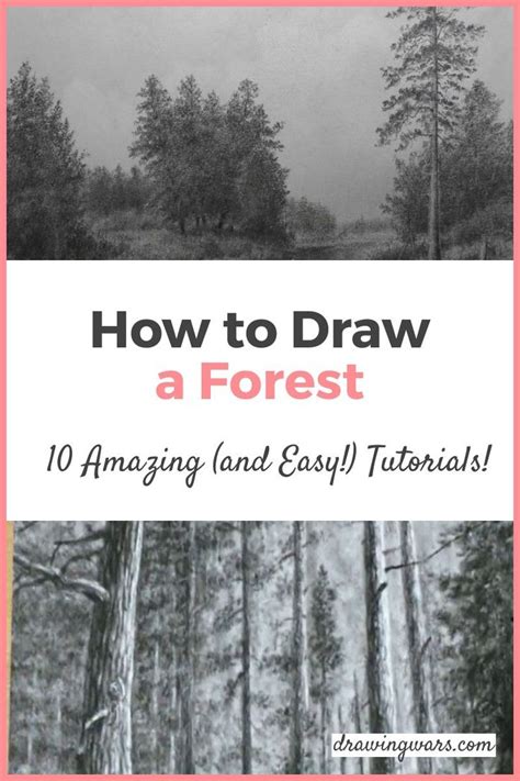 The Title For How To Draw A Forest