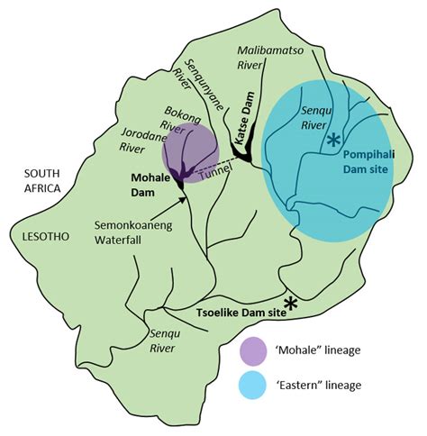 Lesotho bordering countries if you are interested in lesotho and the geography of africa our large laminated map of africa might be just what you need. Lesotho's only endemic freshwater fish under threat ...