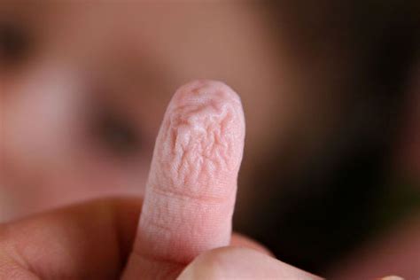 Thumbs Pro Blua Water Wrinkled Fingers Hold Evolutionary Purpose Wrinkly Fingers Caused By