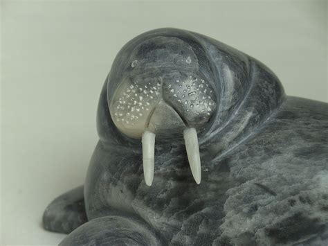 Inuit Soapstone Carving Inspiration Walrus 2 Soapstone Carving Inuit Art Walrus