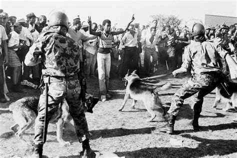 Muere David Goldblatt Fotógrafo Que Documentó El Apartheid Resumencl
