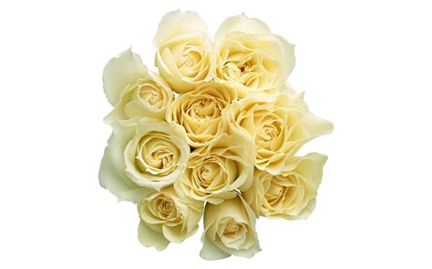 Roses Bouquet White Buds Wallpaper Coolwallpapersme