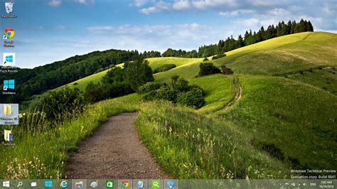 Footpaths Nature Windows 10 Theme Free