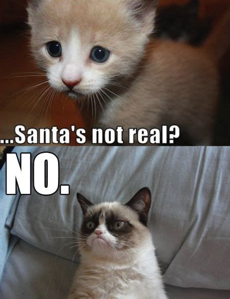 Santa No Grumpy Cat Funny Grumpy Cat Memes Grumpy Cat Quotes