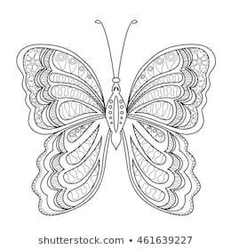 Illustration for adult coloring book with outlined butterfly 나비 자수 사진