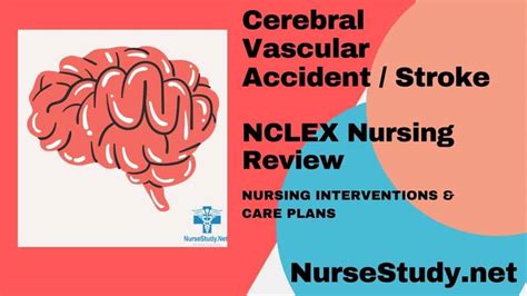Cerebrovascular Accident CVA Stroke Nursing Care Plans Diagnosis And Interventions NurseStudy Net