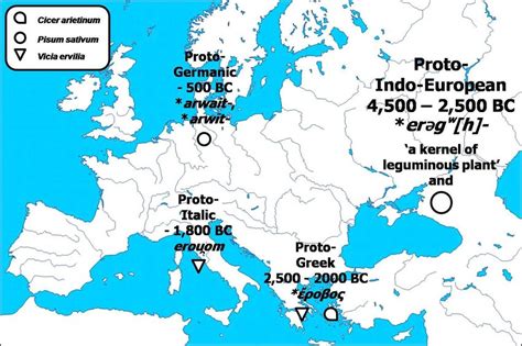 Evolution Of The Proto Indo European Root Erəg W H Download