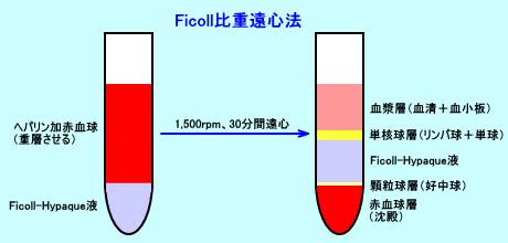 Hints and tips of using ficoll density gradient centrifugation media. 404 Not Found