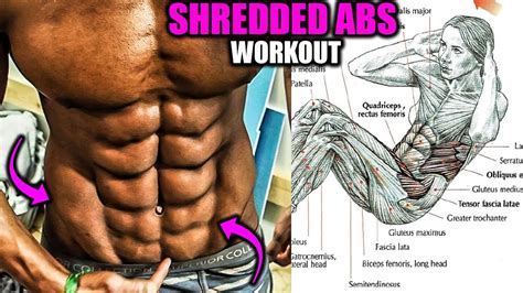 Shredded 10 Pack Abs Workout ️ 7 Exercises Youtube