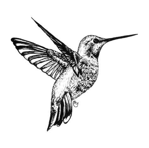 √ Pen And Ink Drawings Of Animals Popular Century
