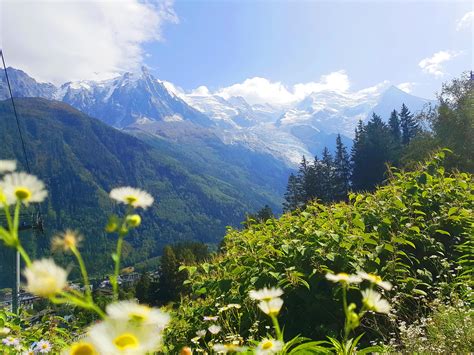 Hiking In The French Alps Was Absolutely Unreal Chamonix France Oc