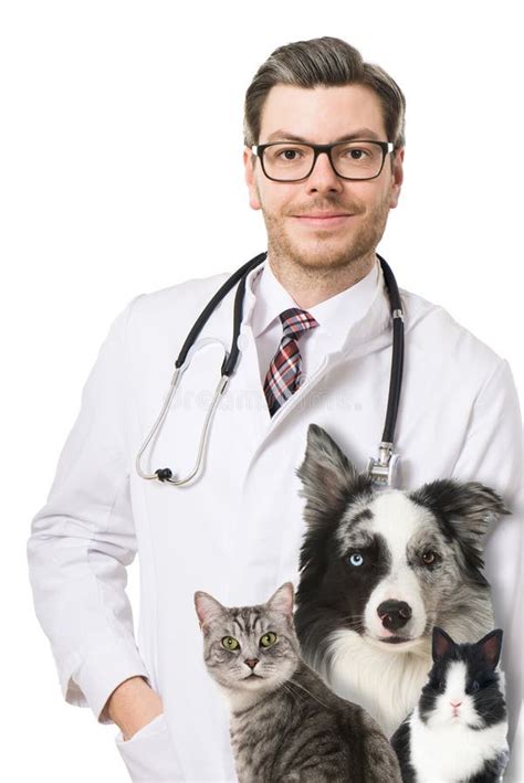 Veterinarian With Animals Stock Image Image Of Doctor 79526521