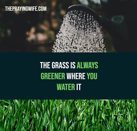 The Grass Is Always Greener Where You Water It The Praying Wife