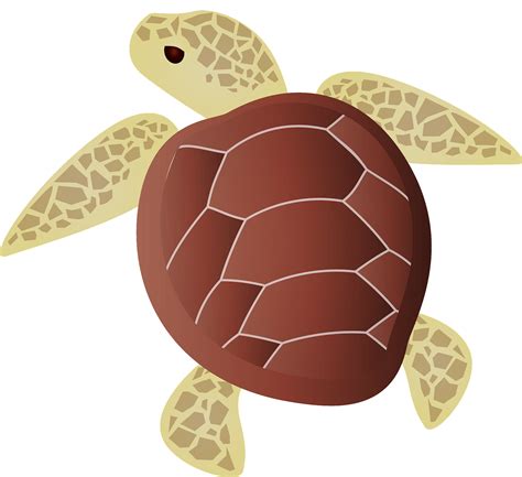 Underwater Turtles Clip Art