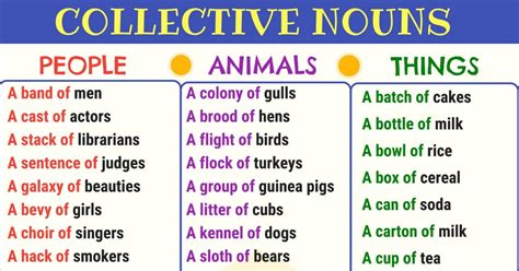 A Guide To Collective Nouns With Useful Collective Noun Examples • 7esl
