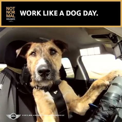 Work Like A Dog Day Wishes Images Whatsapp Images