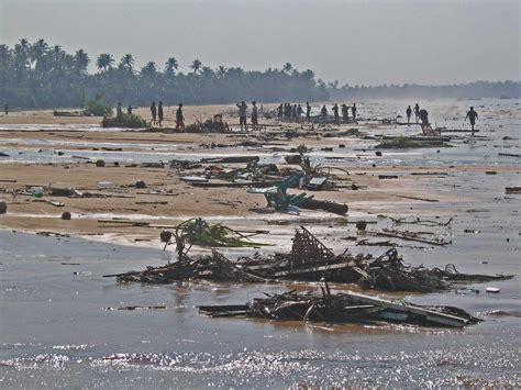 Start studying indian ocean tsunami 2004. Tsunami 2004: i luoghi del disastro dieci anni dopo ...