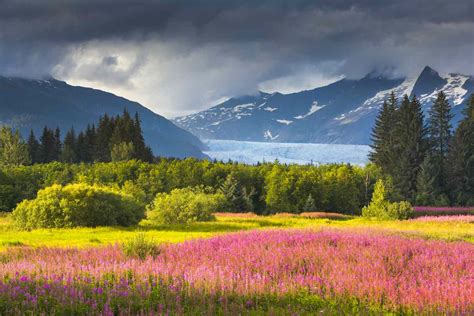 Why Summer Is The Best Time To Visit Alaska