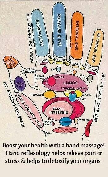 Hand Massage Hand Reflexology Reflexology Reflexology Chart