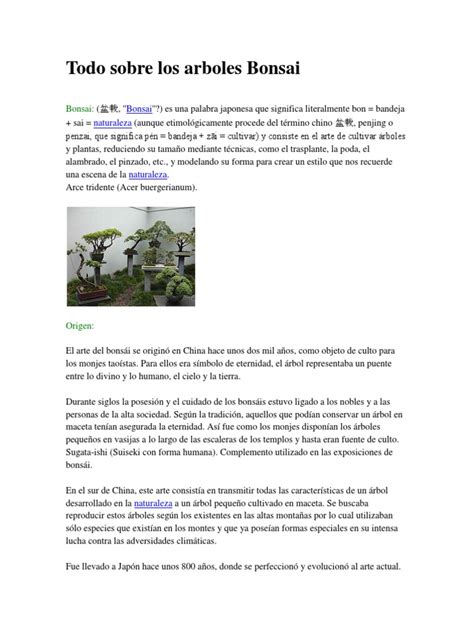 Todo Sobre Los Arboles Bonsai Pdf Bonsai Horticultura Y Jardinería
