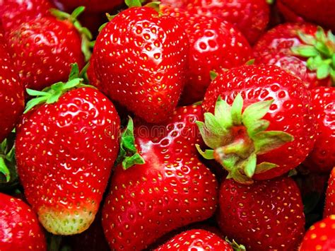 Strawberries Background Red Strawberries Close Up Of Freshly Berries