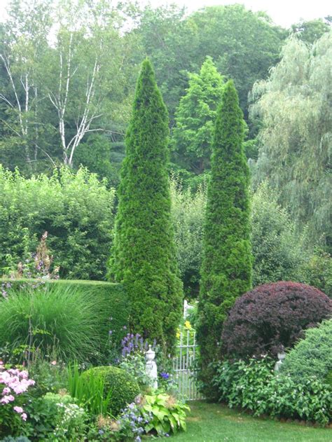 Pin By Maria Colletti Green Terrarium On Favorite Garden Perennials