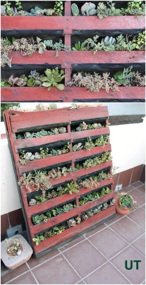 For this succulent planter diy, look for a pallet that is well weathered, with beautiful grain. 30 Captivating Backyard Succulent Gardens You Can Easily ...