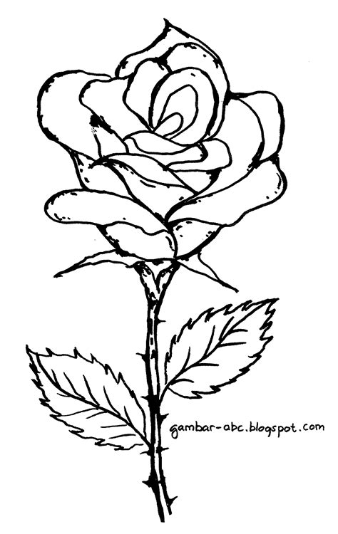 bunga mawar contoh gambar mewarnai