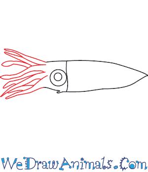 How to Draw a Firefly Squid