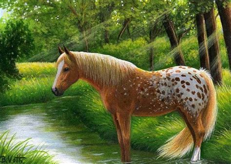 We did not find results for: Appaloosa horse in creek counted cross stitch pattern PDF ...