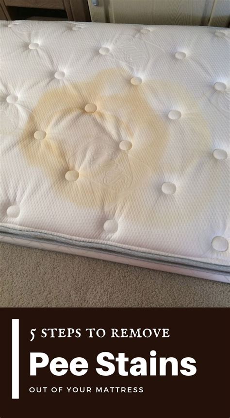 How do i know it's time to replace my mattress? 5 Steps To Remove Pee Stains Out Of Your Mattress ...