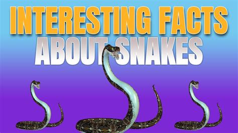 Interesting Facts About Snakes 10 Mind Blowing 🤯 Facts About Snakes 🐍